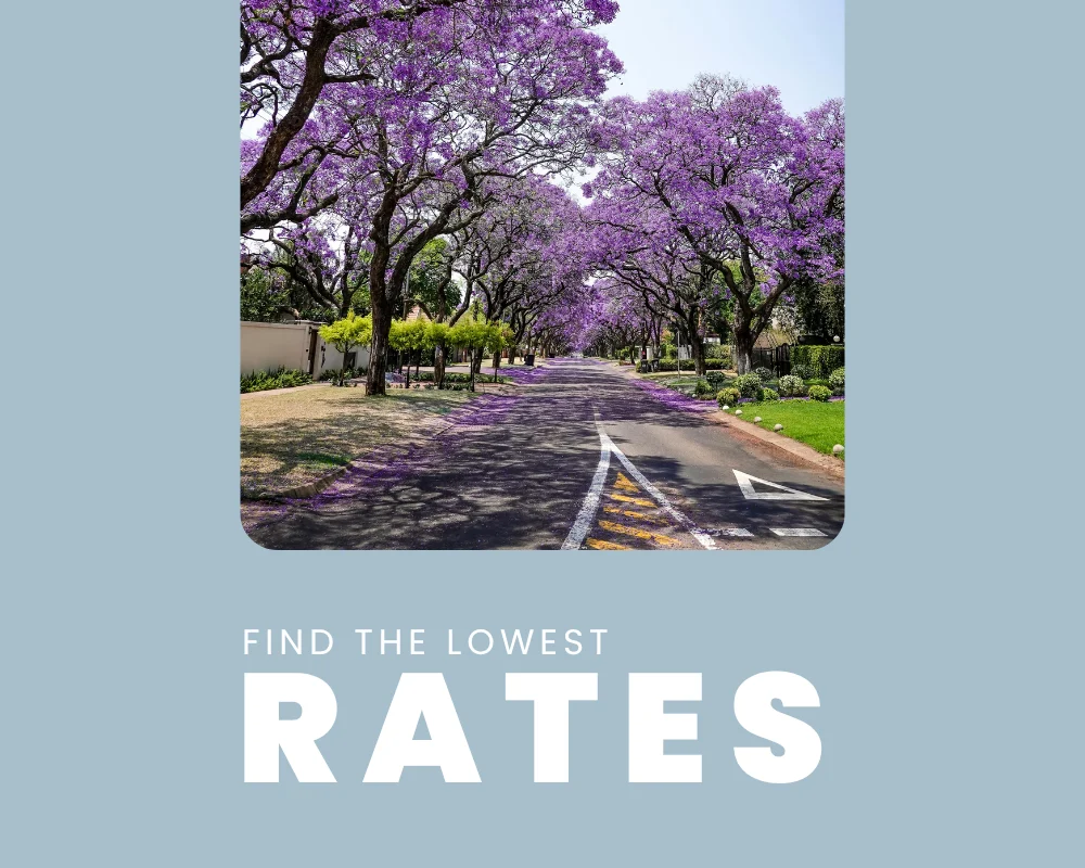 Mortgage broker CTA image featuring jacaranda trees promoting lower interest rates for Australian borrowers